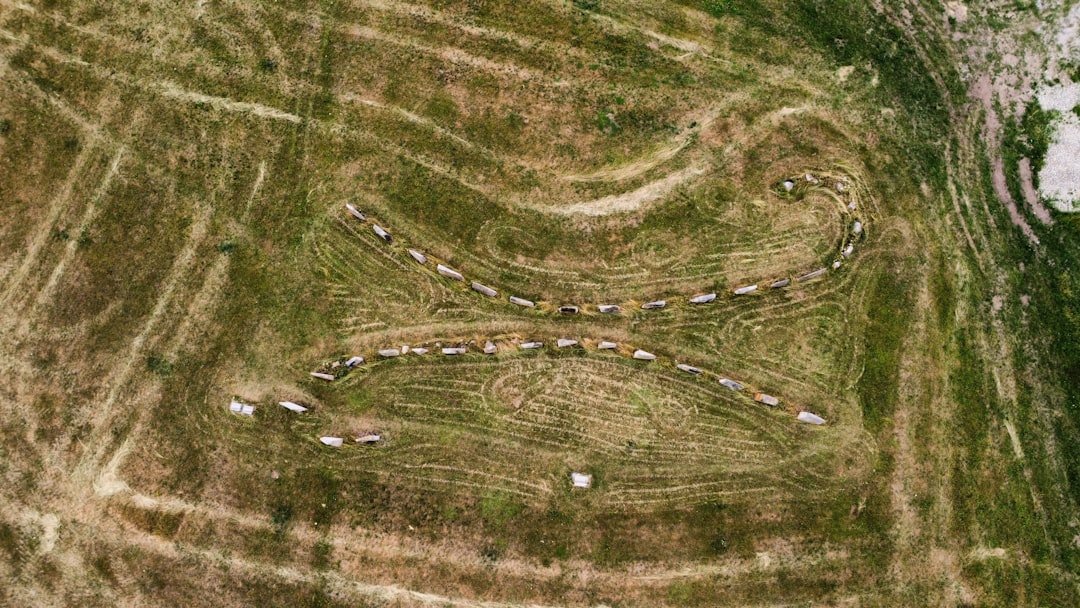 Settlers of Catan board setup showing numbered hexes with different terrain types and probability dots